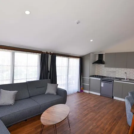 アパートホテル Mykonut Erna フェティエ